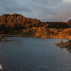 Lofoten Das Haus am See von Harald Marchhart