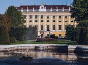Wenen - Paleis Schönbrunn / Kammergarten van Alexander Voss thumbnail