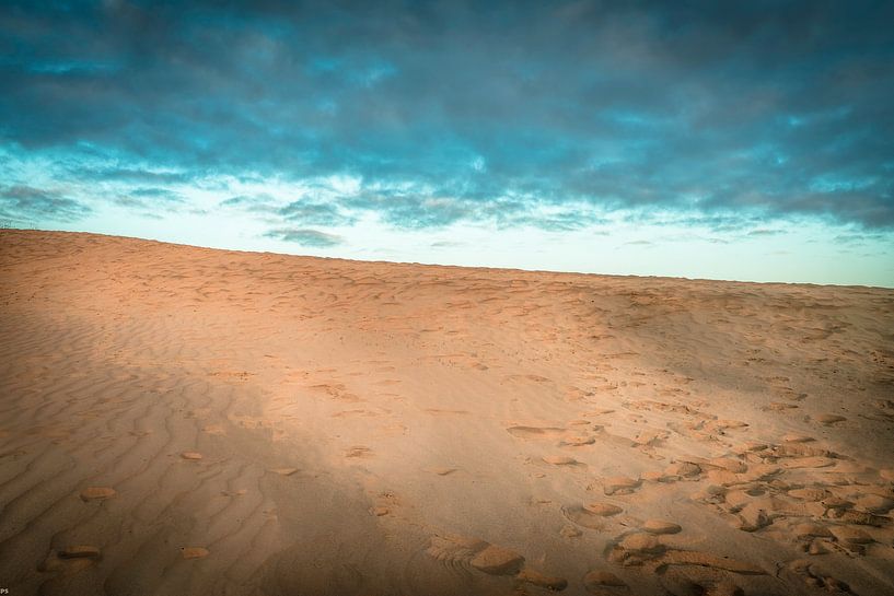 Loonse and Drunense dunes 3 by Peter Smeekens