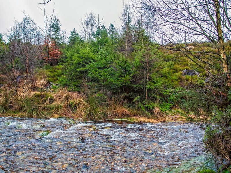 Along The Trees Flowing River Bayehon by Nature Life Ambience