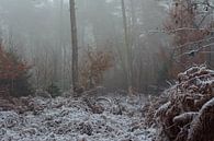 Het Bergherbos op een winterse ochtend in de mist van René Jonkhout thumbnail