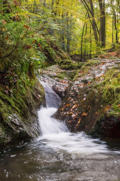 waterval in de Ardennen by Francois Debets