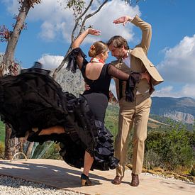 Flamenco in den Bergen 6 von Peter Laarakker