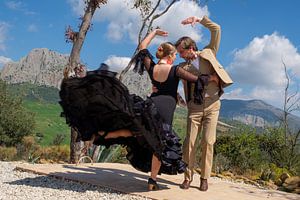 flamenco dans les montagnes 6 sur Peter Laarakker