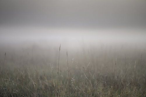 minimalisme in de mist