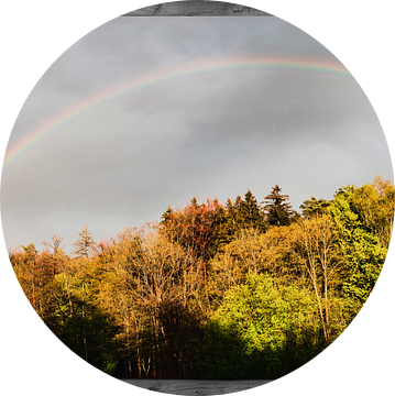 Venster uitzicht - Regenboog