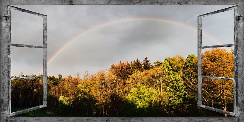 Fensterblick - Regenbogen von Christine Nöhmeier