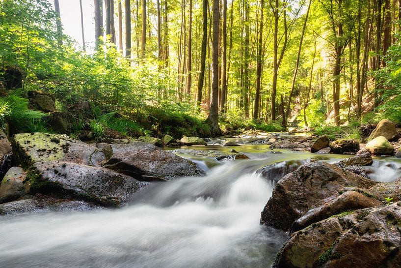 Ilse Falls Harz by Tim Lee Williams