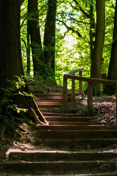 Romantische Treppe im Wald von Your Happy Life