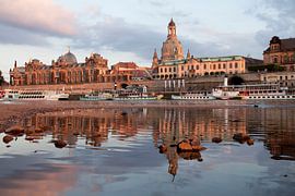 Dresden van Peter Schickert