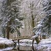 Winter an der kleinen Brücke im Slochter Wald in Groningen von Marga Vroom