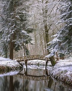 Winter an der kleinen Brücke im Slochter Wald in Groningen