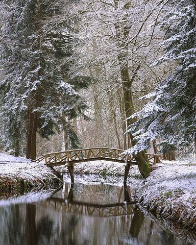 Winter bij het bruggetje in het Slochterbos in Groningen