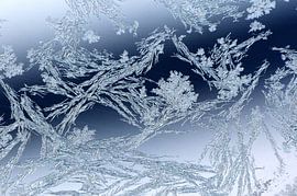 Tribal Ice #02 by Fabrizio Gallo