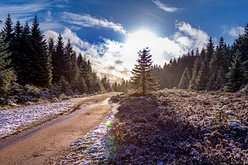 Sentier de randonnée au Brocken