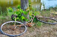 Verrostetes Fahrrad aus dem Wasser von Jolanda de Jong-Jansen Miniaturansicht