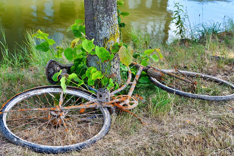 Verrostetes Fahrrad aus dem Wasser von Jolanda de Jong-Jansen