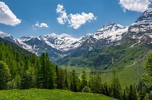 Paysage des Alpes en Autriche au printemps
