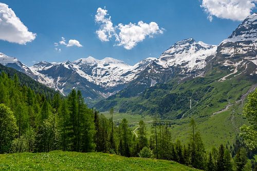 Alpen landschap in Oostenrijk in de lente