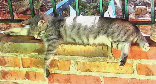 Ik kan overal slapen