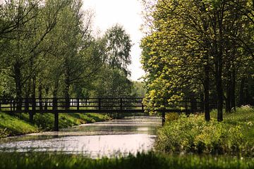 Bridge over troubled water  by Peter Hartman