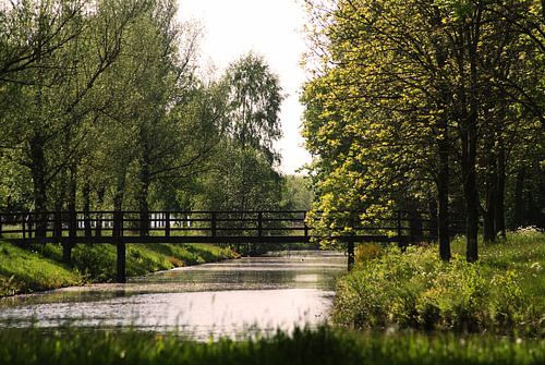 Bridge over troubled water 