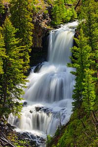 Wasserfall Undine Falls, Yellowstone N.P, Wyoming