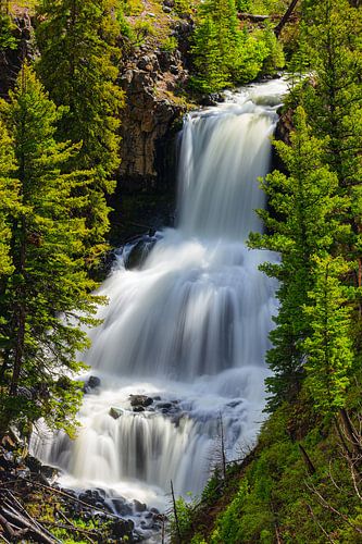 Waterfall Undine Falls, Yellowstone N.P, Wyoming by Henk Meijer Photography