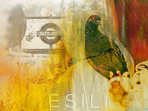 Kijkend naar de ondergrondse