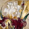 The Golden Poise of an Iris von Johannas Art Creations