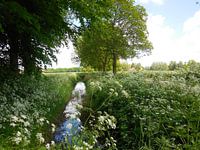 Landschap met beekje en bloemen