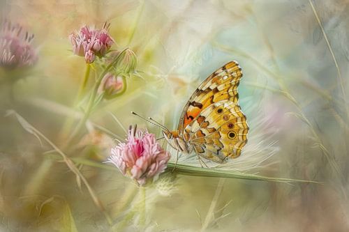 Vlinder op Pastelbloemen – Zachte Fotokunst