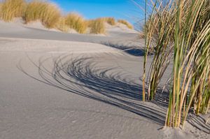 Plage de l'île Schiermonnikoog dans la mer des Wadden sur Sjoerd van der Wal Photographie