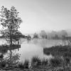 Panorama von Smitsveen in Schwarz-Weiß, Dwingelderveld, Drenthe von Henk Meijer Photography