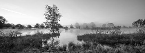 Panoramic view of Smitsveen in black and white, Dwingelderveld, Drenthe by Henk Meijer Photography