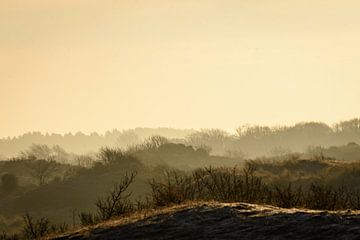 gouden duinen by claes touber