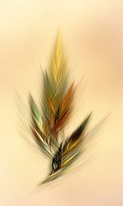 filigran
