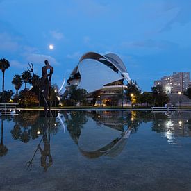 Palau de les Arts - Valencia von Guy Bostijn