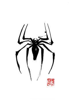 Spinne von Péchane Sumie