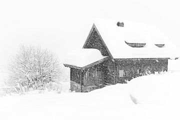 Sneeuwval in de Alpen van Lynxs Photography