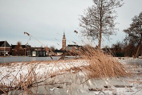 Nieuwkoopse Plassen in winter with ice