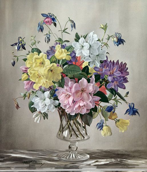 Rhododendron by Albert Williams