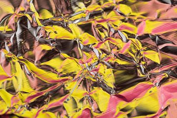 Fel gekleurd abstract kunstwerk in geel met rood van Lisette Rijkers