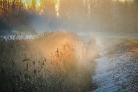 Het laatste zonlicht in de vroege mistige avond
