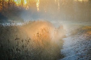 Het laatste zonlicht in de vroege mistige avond sur Jo Pixel