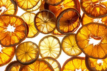 Sinaasappels en citroenen van SO fotografie