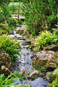 Idyllic stream in the Münster Botanical Garden by Carl-Ludwig Principe