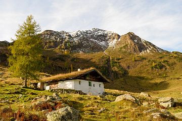 Herfst op de Wildalm bij Wildseeloder in Tirol van Christian Peters