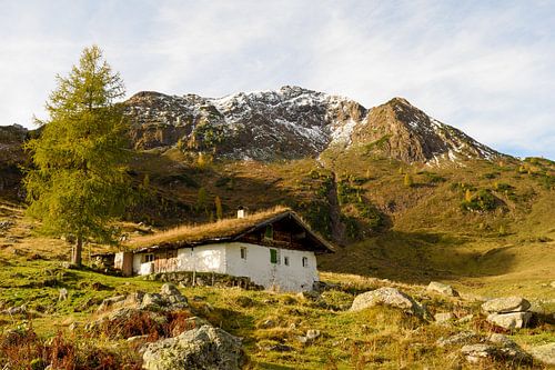Herbst bei der Wildalm am Wildseeloder in Tirol