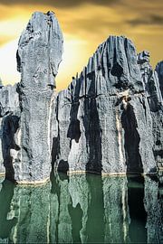 steinwald by Stefan Havadi-Nagy